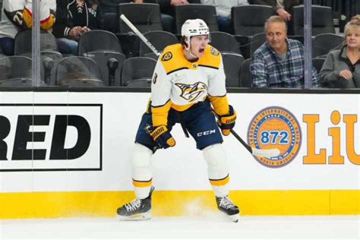 
Nashville Forward Cody Glass Girlfriend Bailey Carter Is A Nurse 