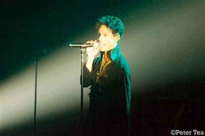 Was Prince Gay Or Bisexual? What Was The Rock Star’s Sexuality?